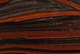 Polished Tiger Iron Stromatolite - Billion Years #129266-1